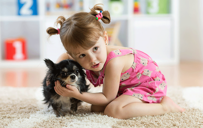 وقتی یک حیوان خانگی پیدا کردیم، چکار کنیم؟ 3 چگونه مرگ حیوان خانگی را به کودکمان توضیح دهیم؟ | دنیای حیوانات