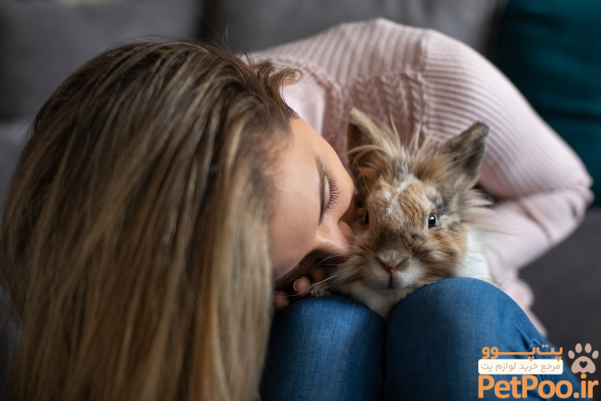 10 Reasons Why Rabbits Make Fantastic Family Pets - Supreme Petfoods