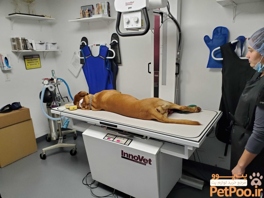 دستگاه های مورد نیاز در یک دامپزشکی چیست؟ 1 USE OF PORTABLE VETERINARY X-RAY MACHINES - Dicom Solutions