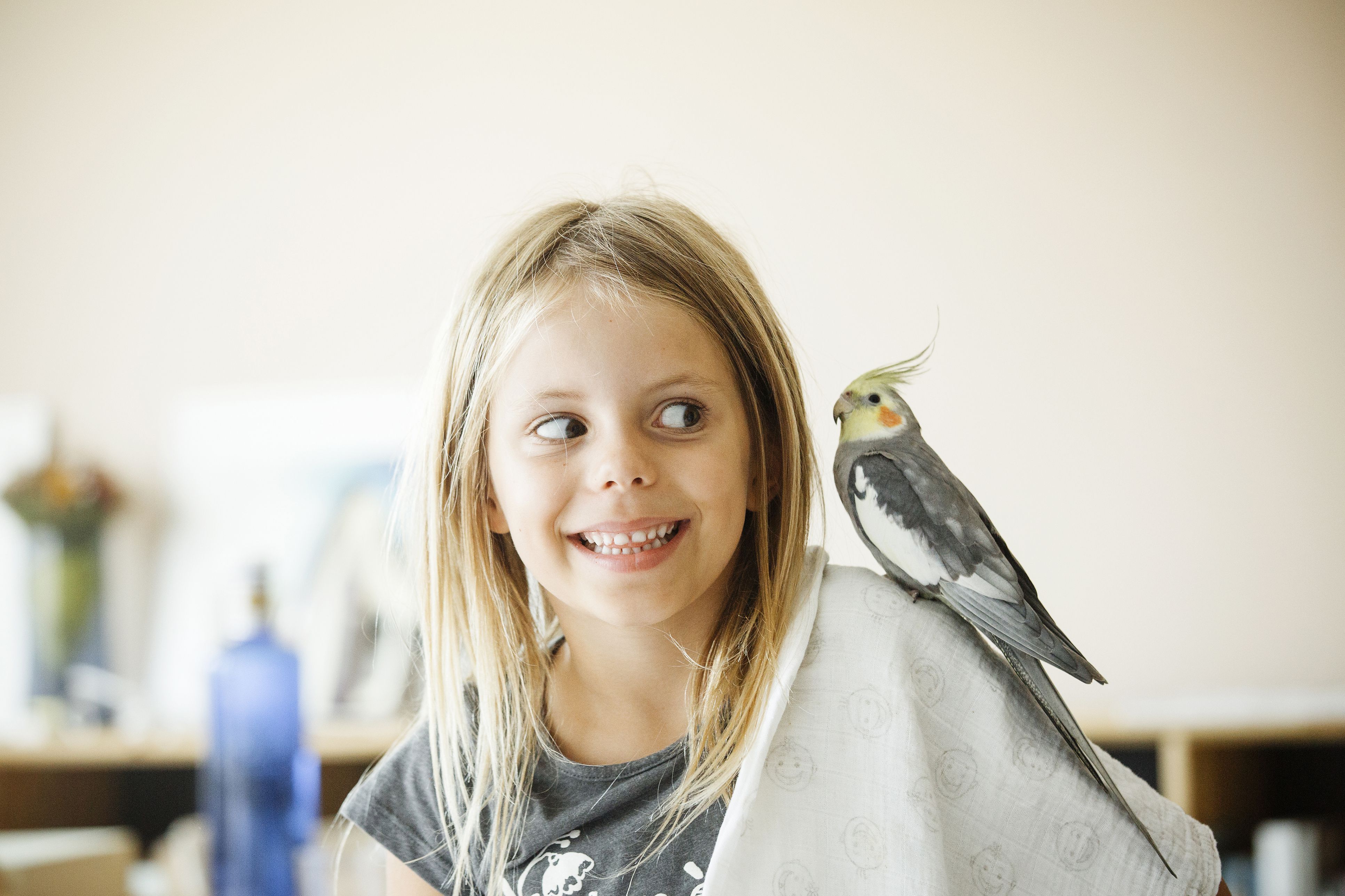 بهترین حیوانات خانگی برای کودکان چیست؟ 6 These 7 Birds Make the Best Pets for Kids