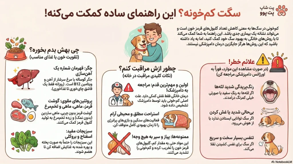petpoo infographic dog anemia guide
