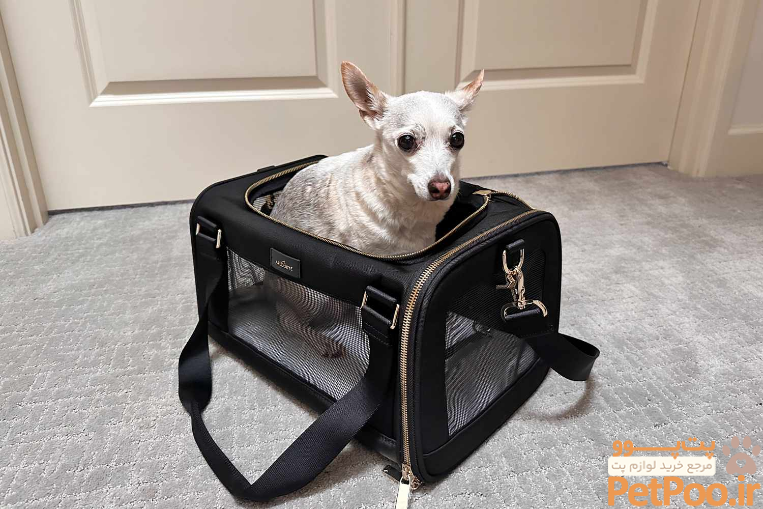 مراحل خرید بلیط هواپیما برای حیوانات خانگی چیست؟ 4 The Best Airline-approved Pet Carriers of 2024, Tested and Reviewed