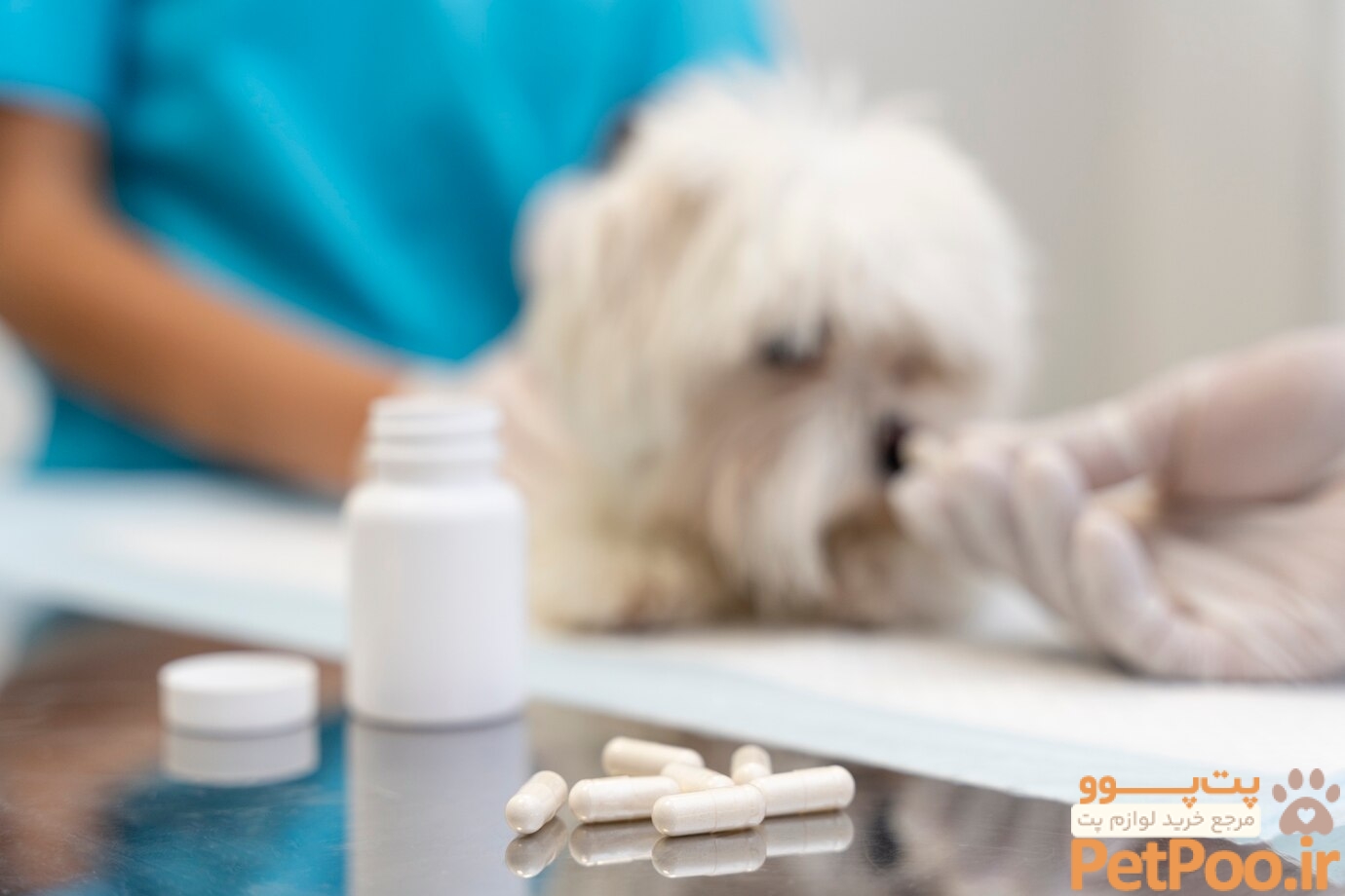 Top Veterinary Drugs Companies - Verified Market Reports