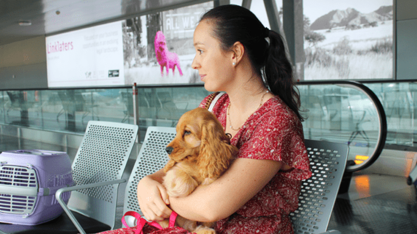 Travelling with animals | Luxair