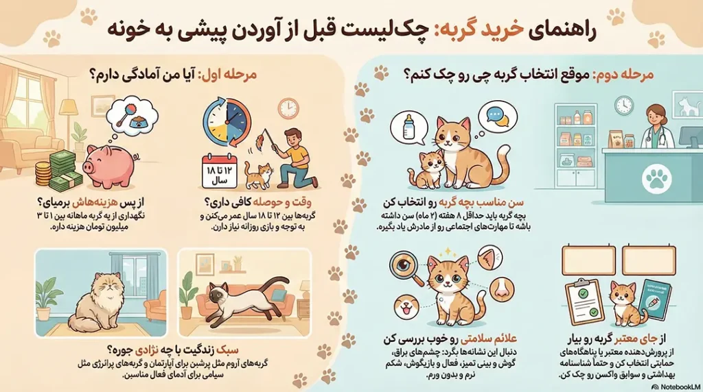 راهنمای خرید گربه: برای انتخاب یک دوست پشمالو 2 petpoo infographic cat buying guide