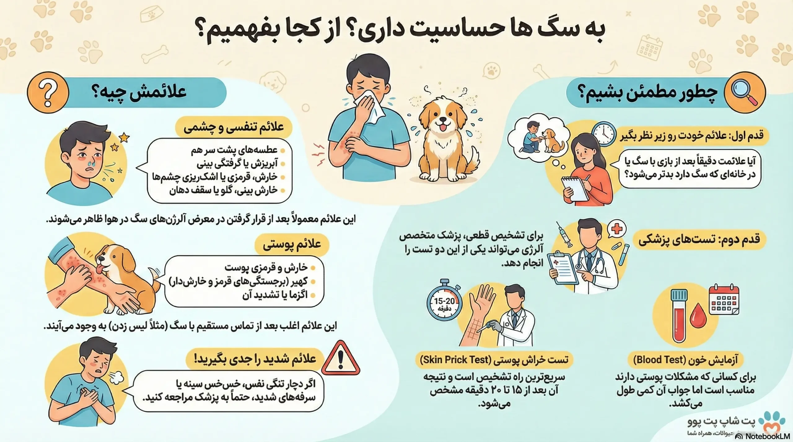 از کجا بفهمیم به سگ آلرژی و حساسیت داریم یا نه؟ 2 petpoo infographic dog allergy scaled