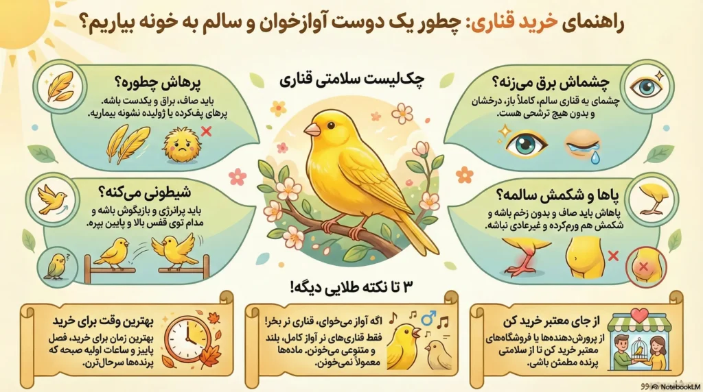 petpoo infographic how to buy canary