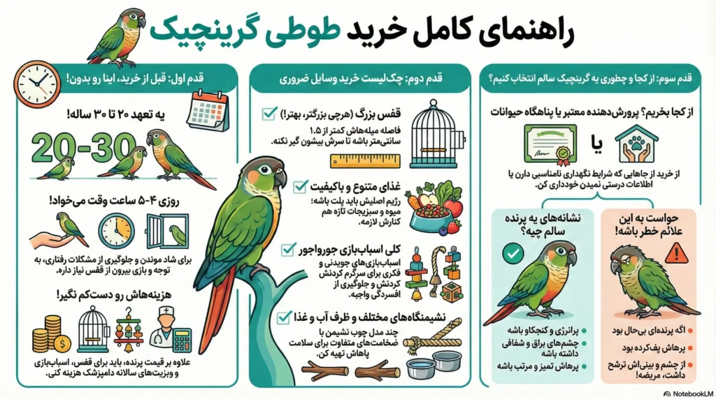 petpoo infographic how to buy greencheeked