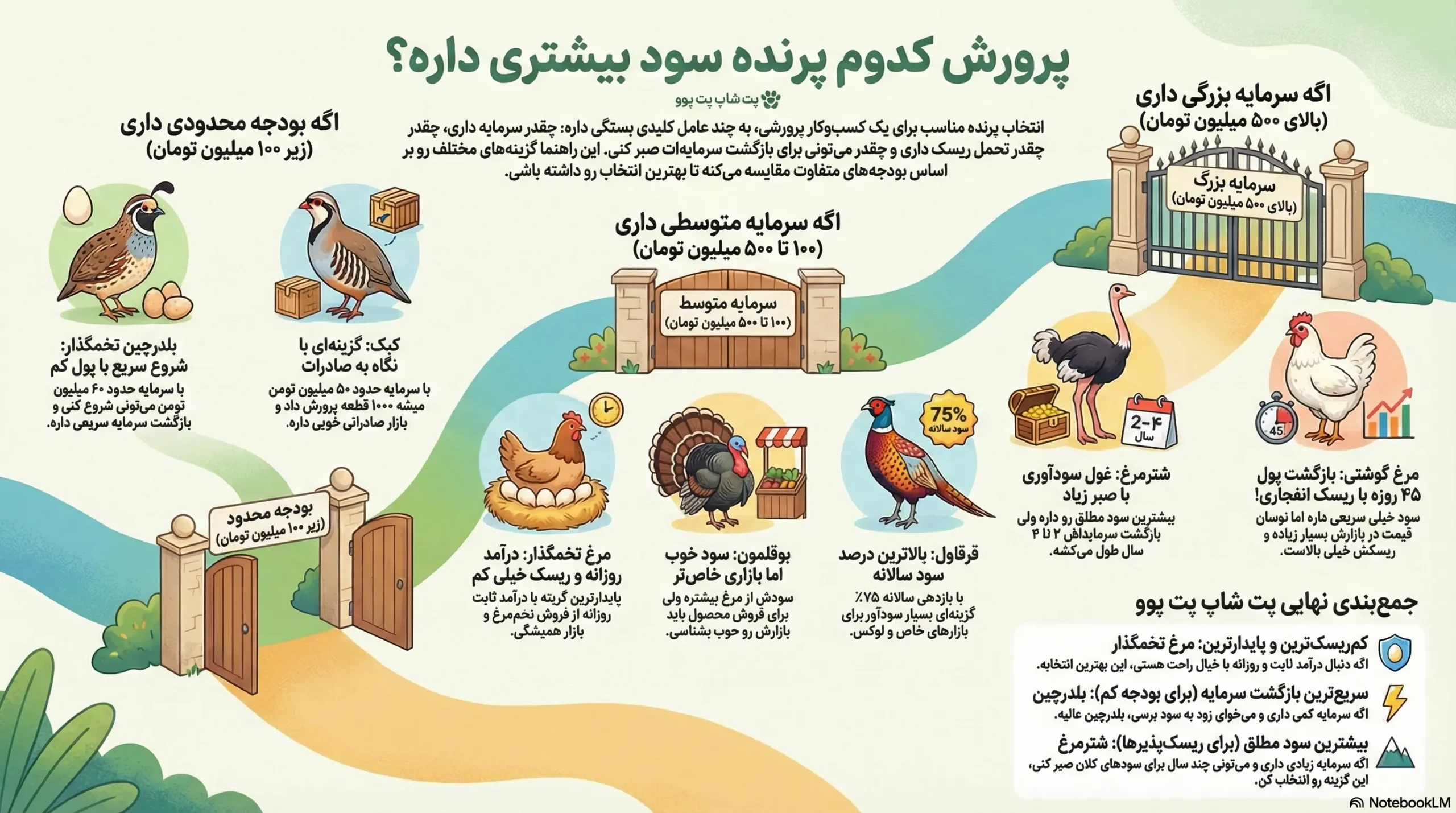 پرورش کدام پرنده سود بیشتری دارد؟ 1 petpoo infographic most profitable birds scaled