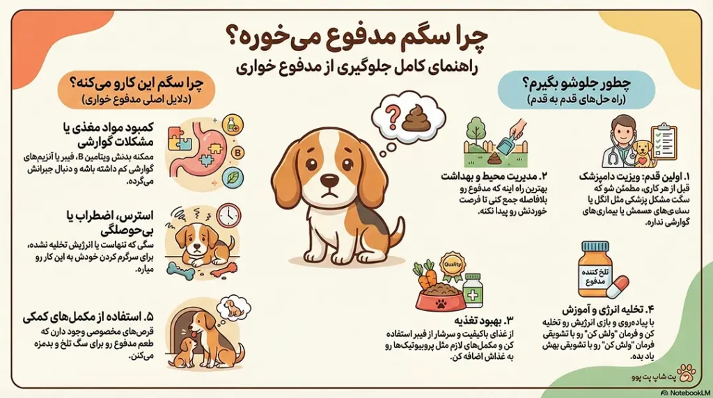راههای جلوگیری از مدفوع خواری سگ 1 petpoo infographic stop dog stool eating