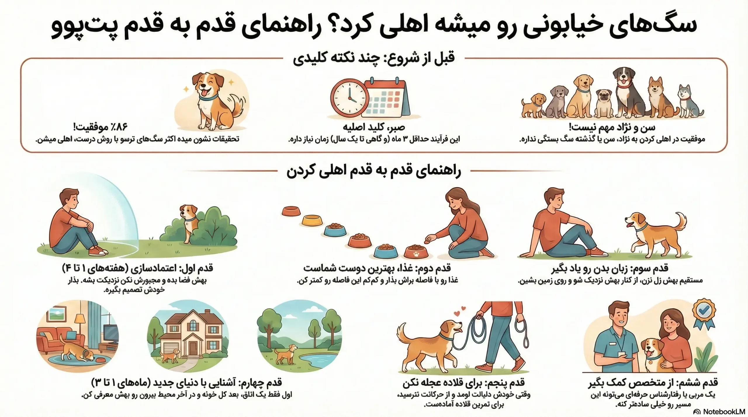 چگونه سگ های خیابانی را اهلی و رام کنیم؟ 2 petpoo infographic tame stray dogs scaled