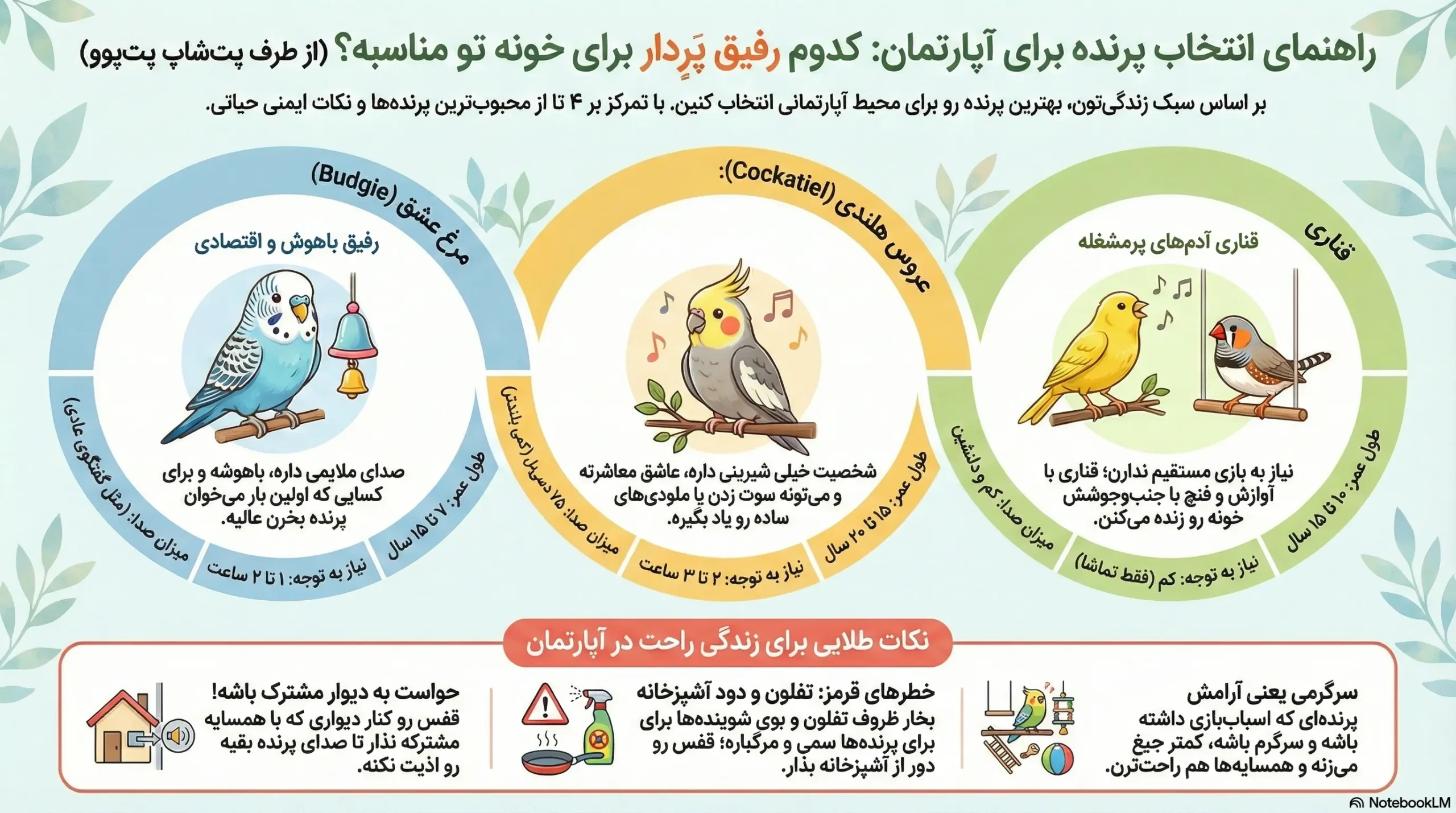 petpoo infographic best apartment bird scaled