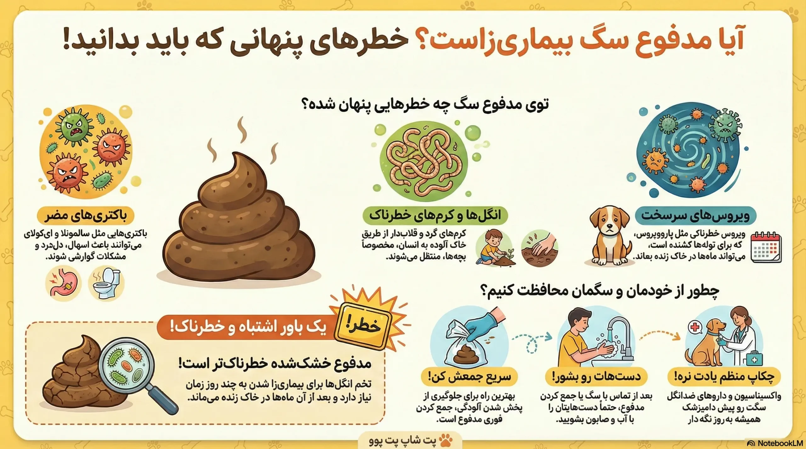 petpoo infographic dog poop pathogenic scaled