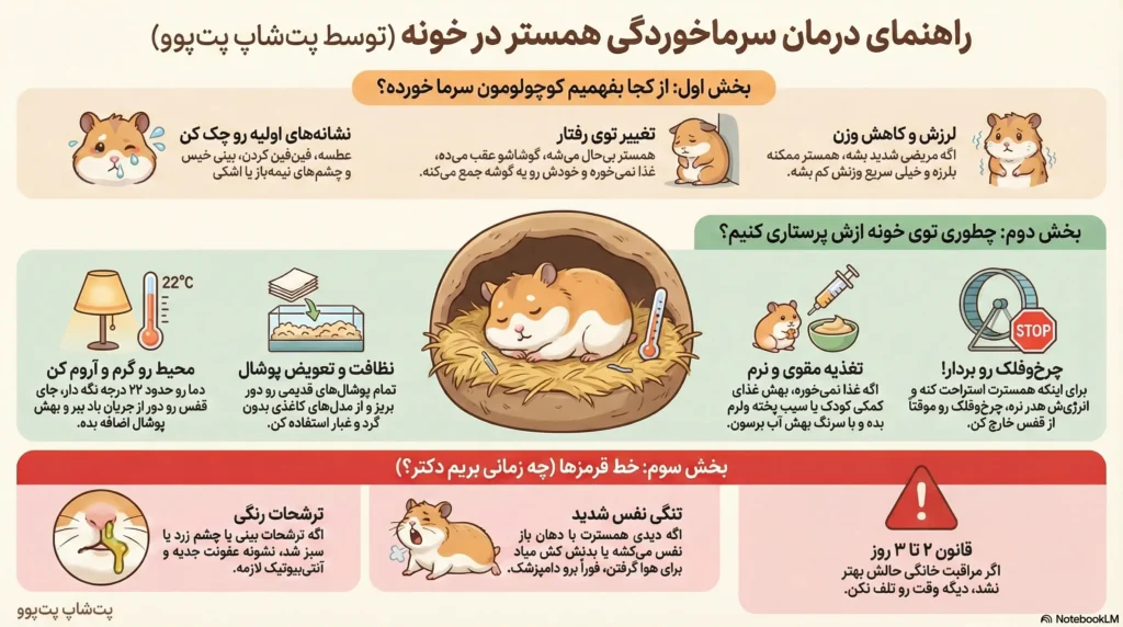 petpoo infographic hamster cold remedy