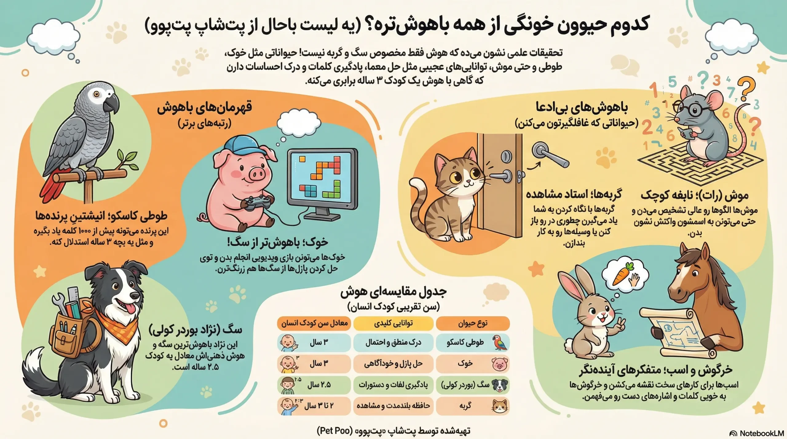 باهوش ترین حیوانات خانگی کدامند؟ 1 petpoo infographic smartest pets scaled