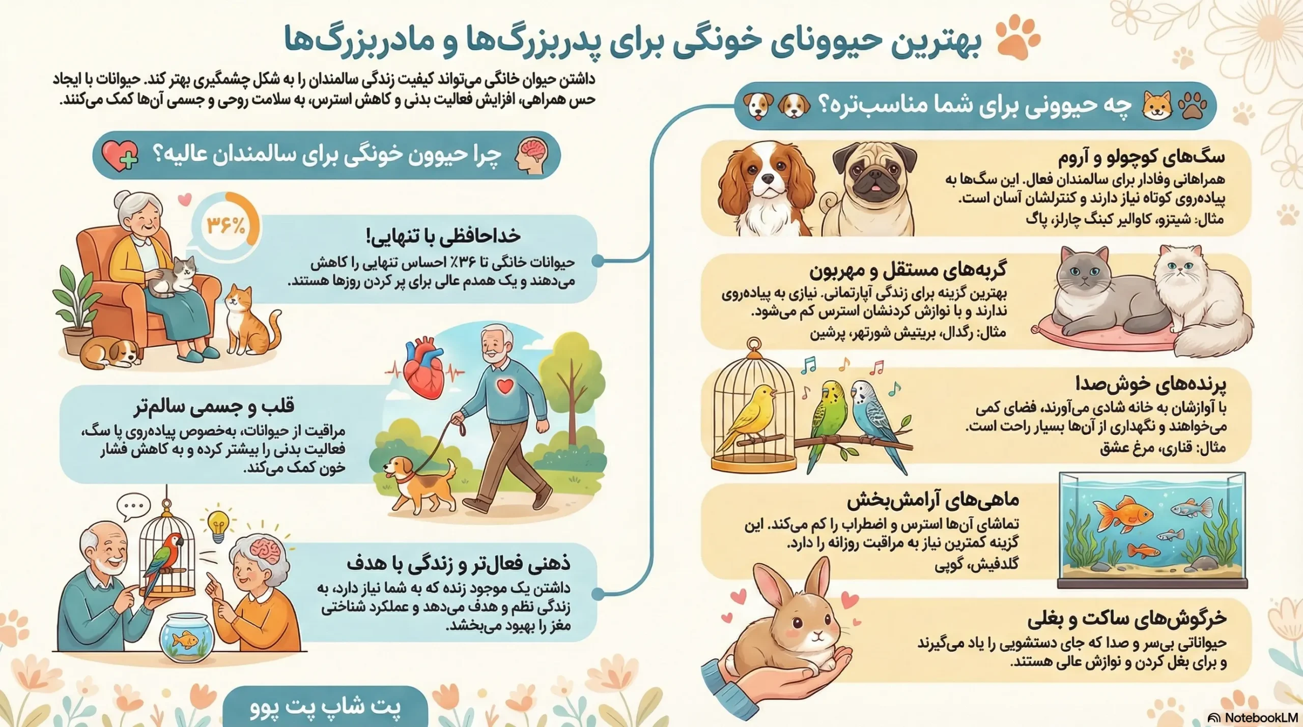 petpoo infographic best pets for seniors scaled