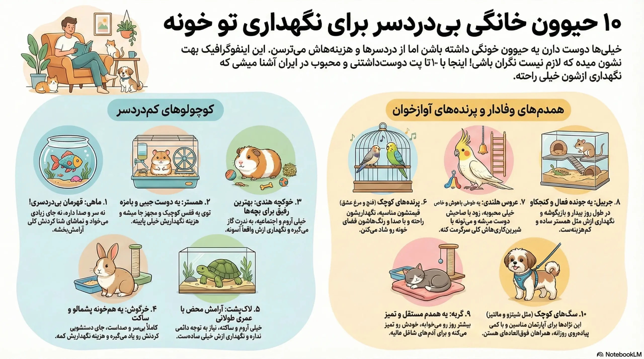 ۱۰ حیوان خانگی بیدردسر برای نگهداری در ایران 2 petpoo infographic easygoing pets scaled