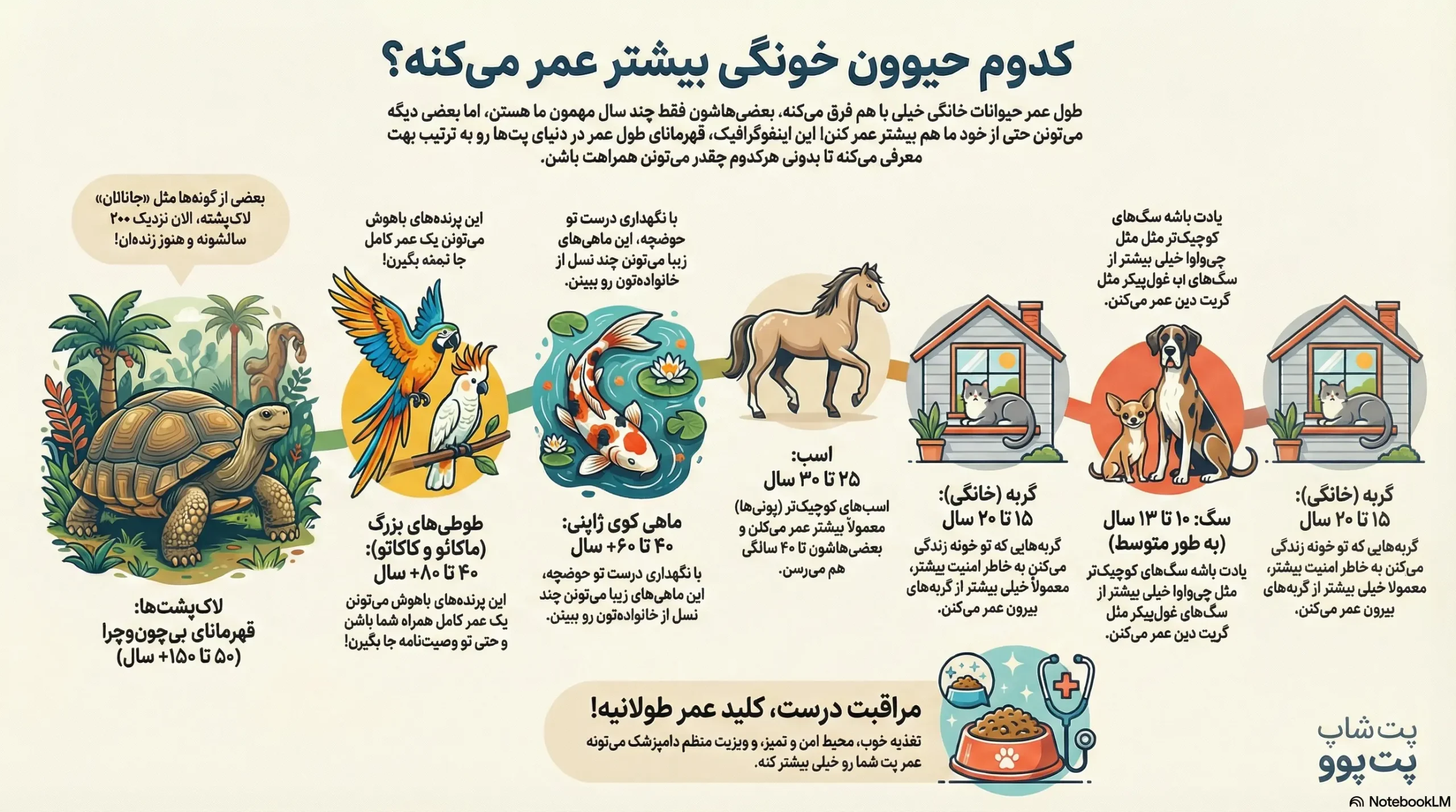 کدام حیوان خانگی بیشترین طول عمر را دارد و عمرشان چند سال است؟ 1 petpoo infographic longest living pets scaled
