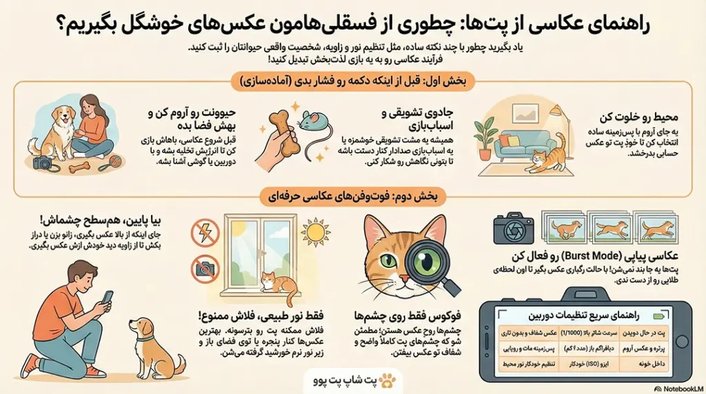 petpoo infographic pet photography guide