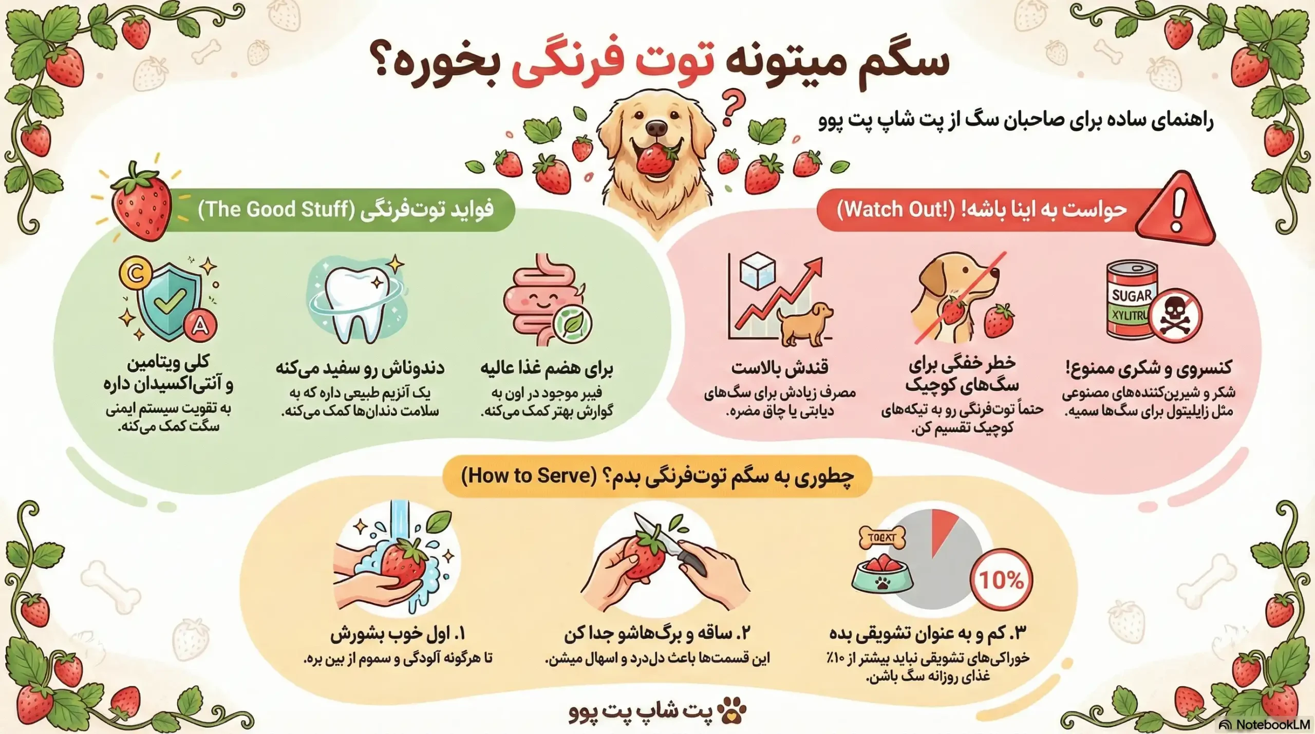 آیا سگ می تواند توت فرنگی بخورد؟ 2 petpoo infographic can dogs eat strawberries scaled