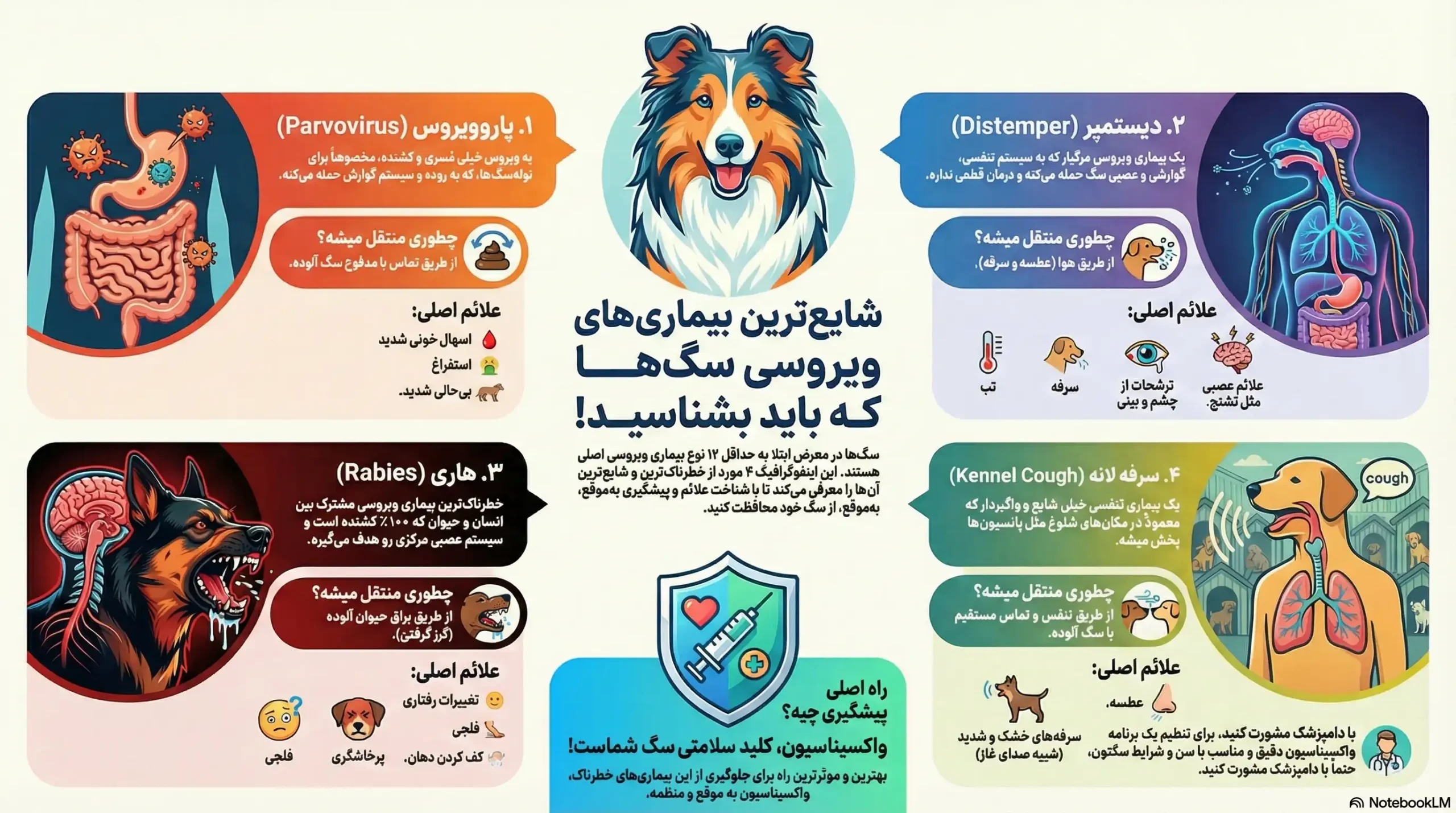 انواع بیماری های ویروسی سگ ها چیست؟ 2 petpoo infographic common dog diseases scaled