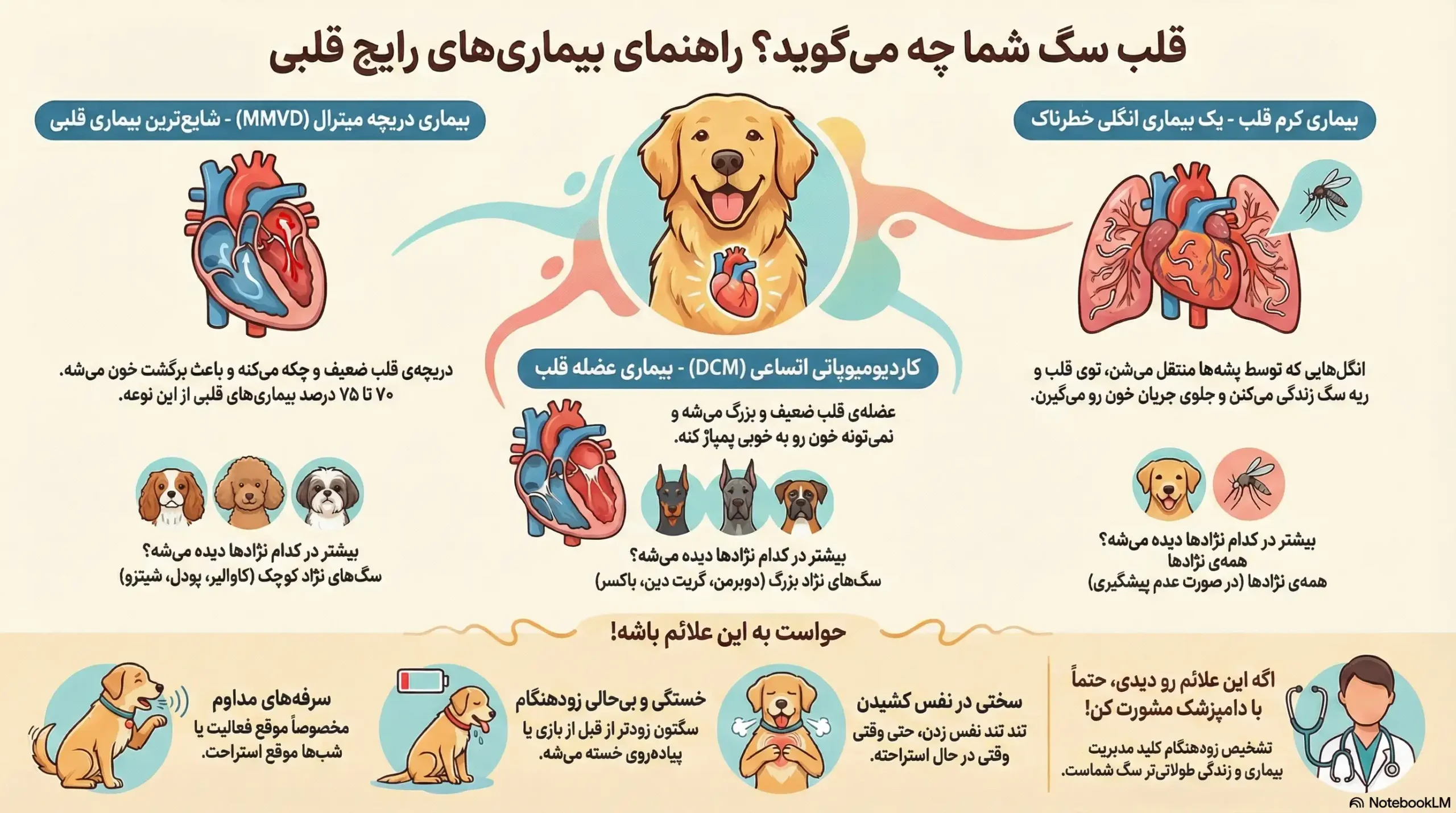 petpoo infographic common dog heart diseases scaled