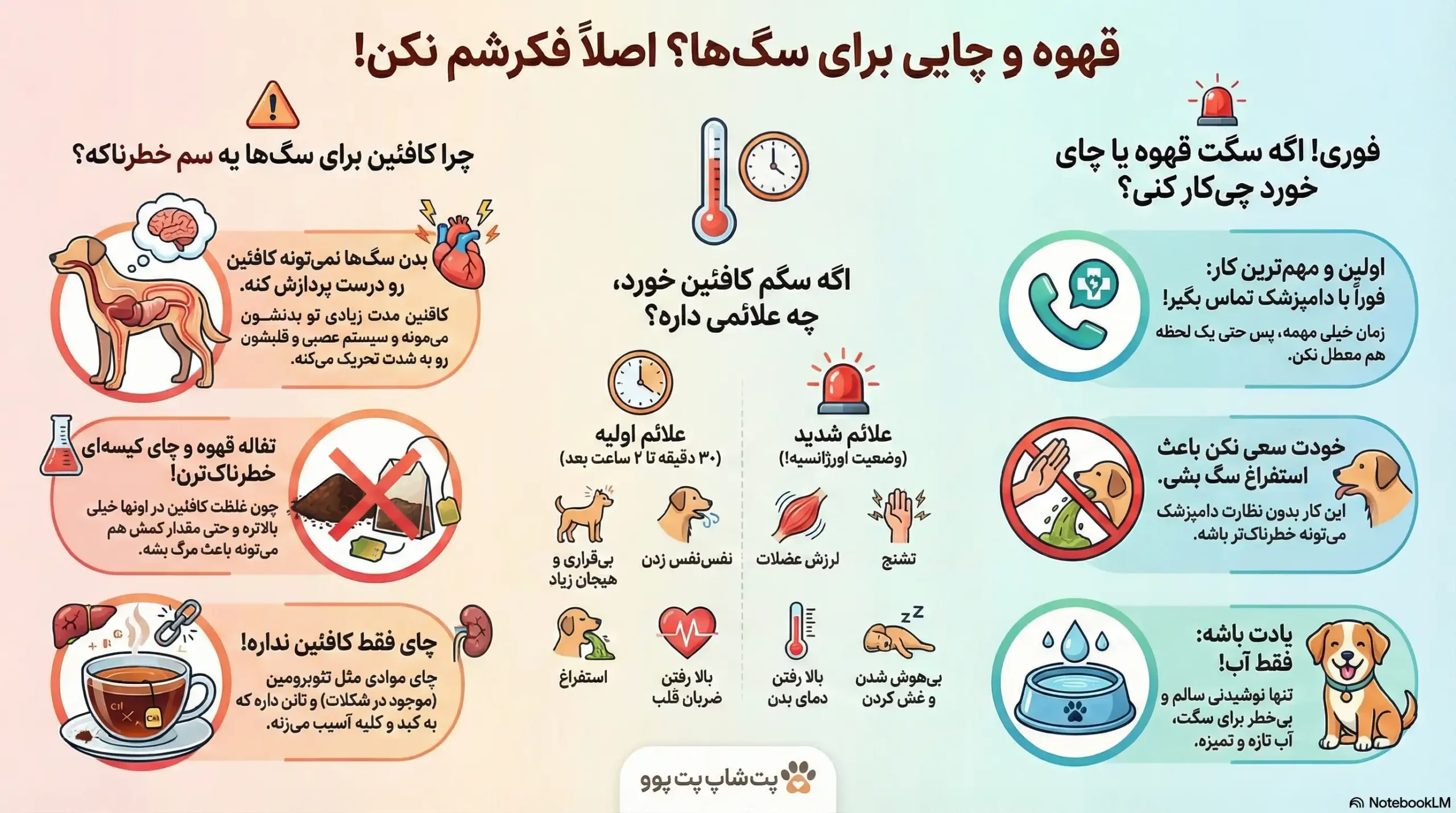 petpoo infographic dog caffeine risks scaled