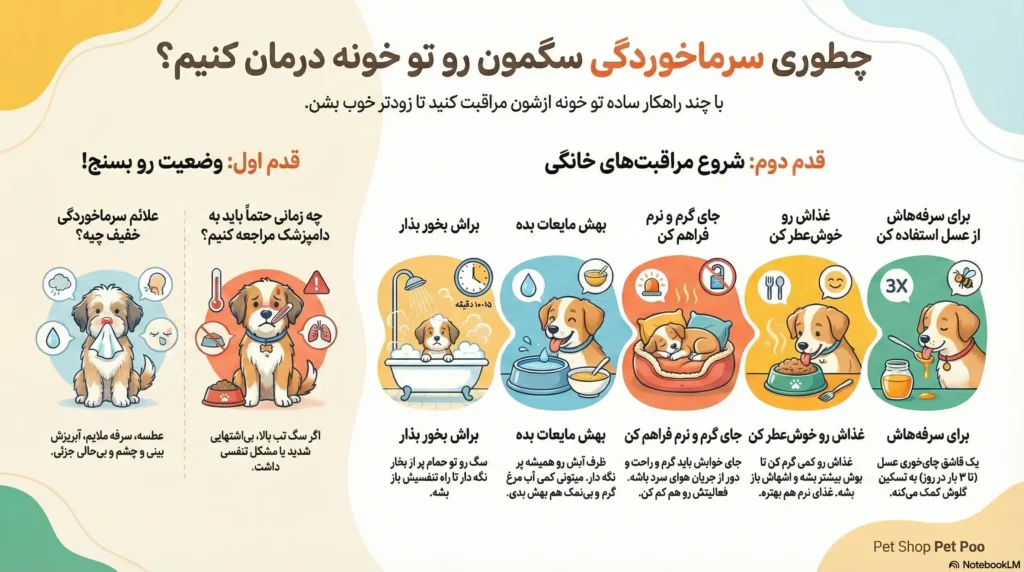 petpoo infographic dog cold treat