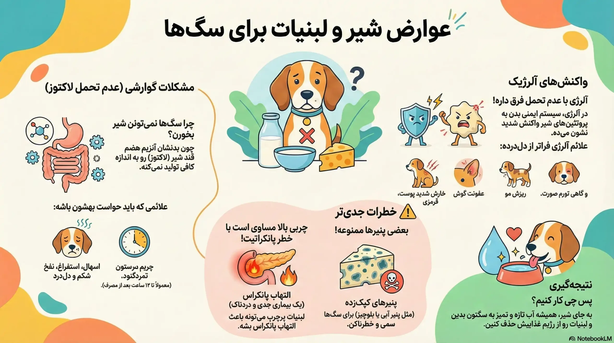عوارض خوردن شیر و محصولات لبنی برای سگها چیست؟ 2 petpoo infographic dog dairy risks scaled
