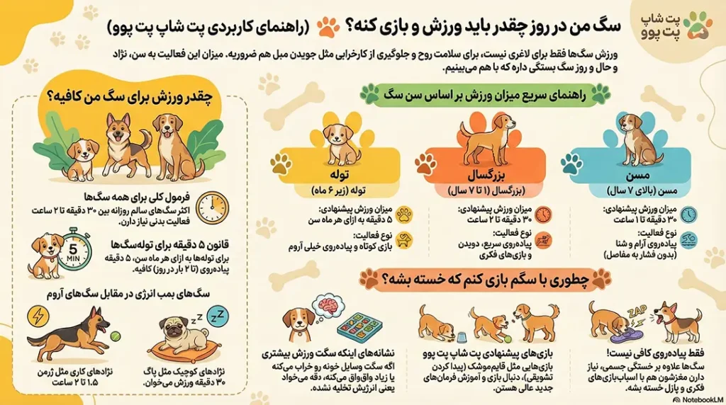 سگ ها در روز به چه مقدار ورزش نیاز دارند؟ روزانه چقدر با سگم بازی کنم؟ 2 petpoo infographic dog exercise guide