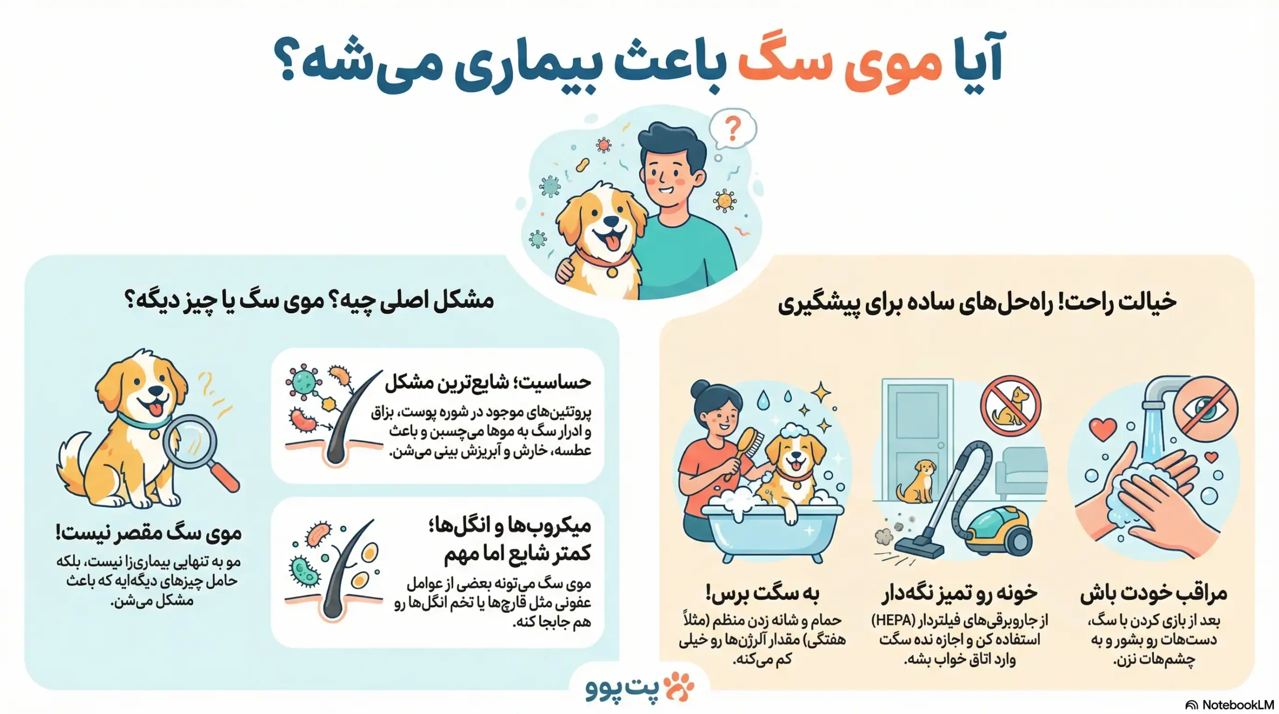 آیا موی سگ باعث بیماری میشود؟ 2 petpoo infographic dog hair cause disease scaled