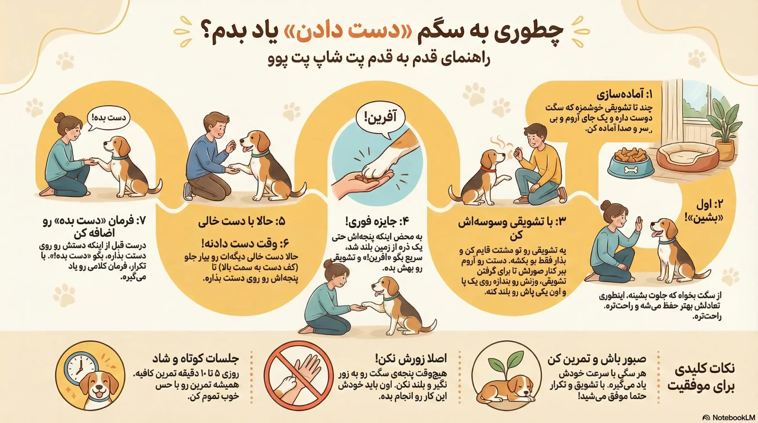 راهنمای آموزش دست دادن به سگها: آموزش قدم به قدم 2 petpoo infographic dog handshake training scaled