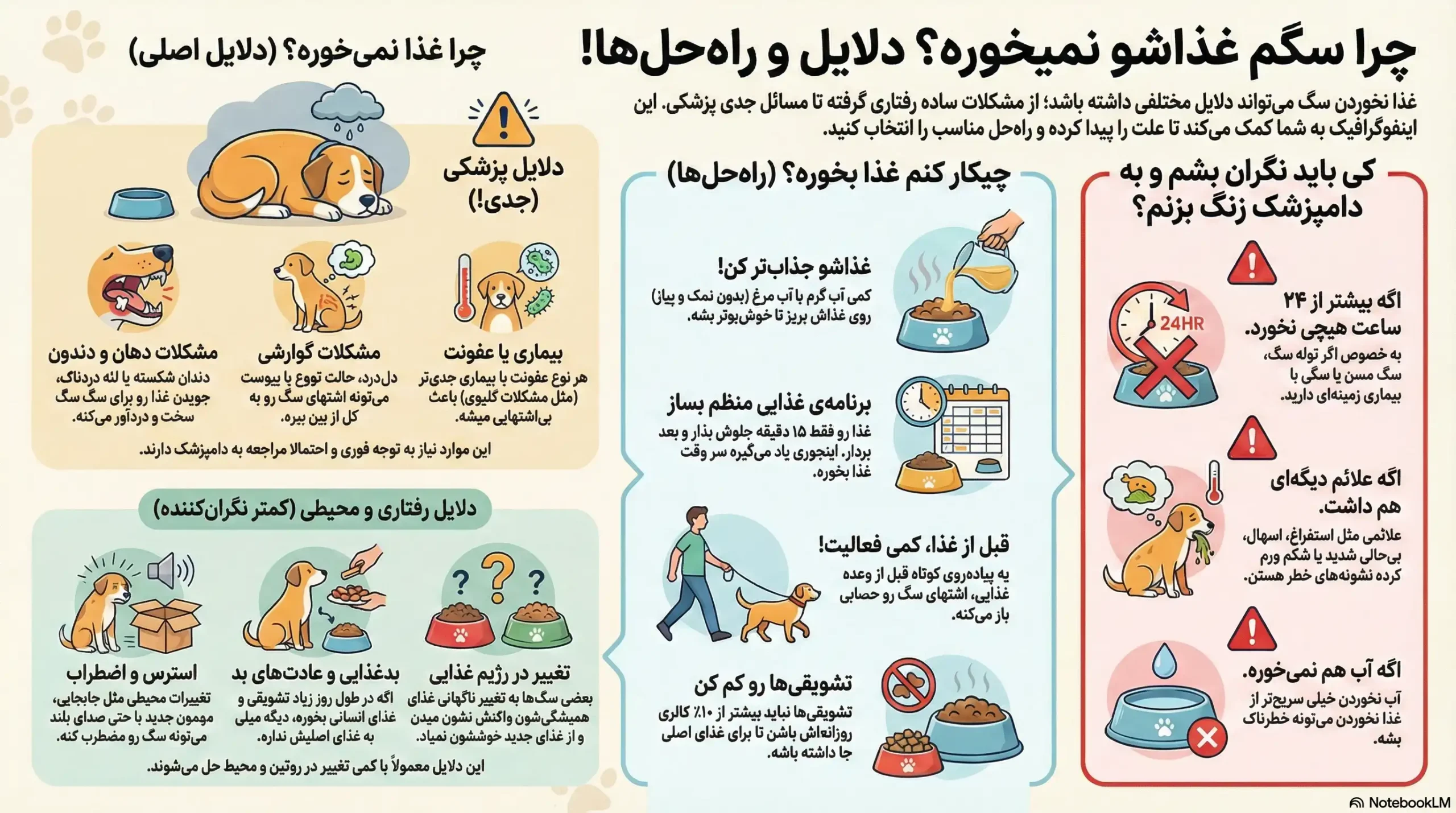petpoo infographic dog wont eat scaled