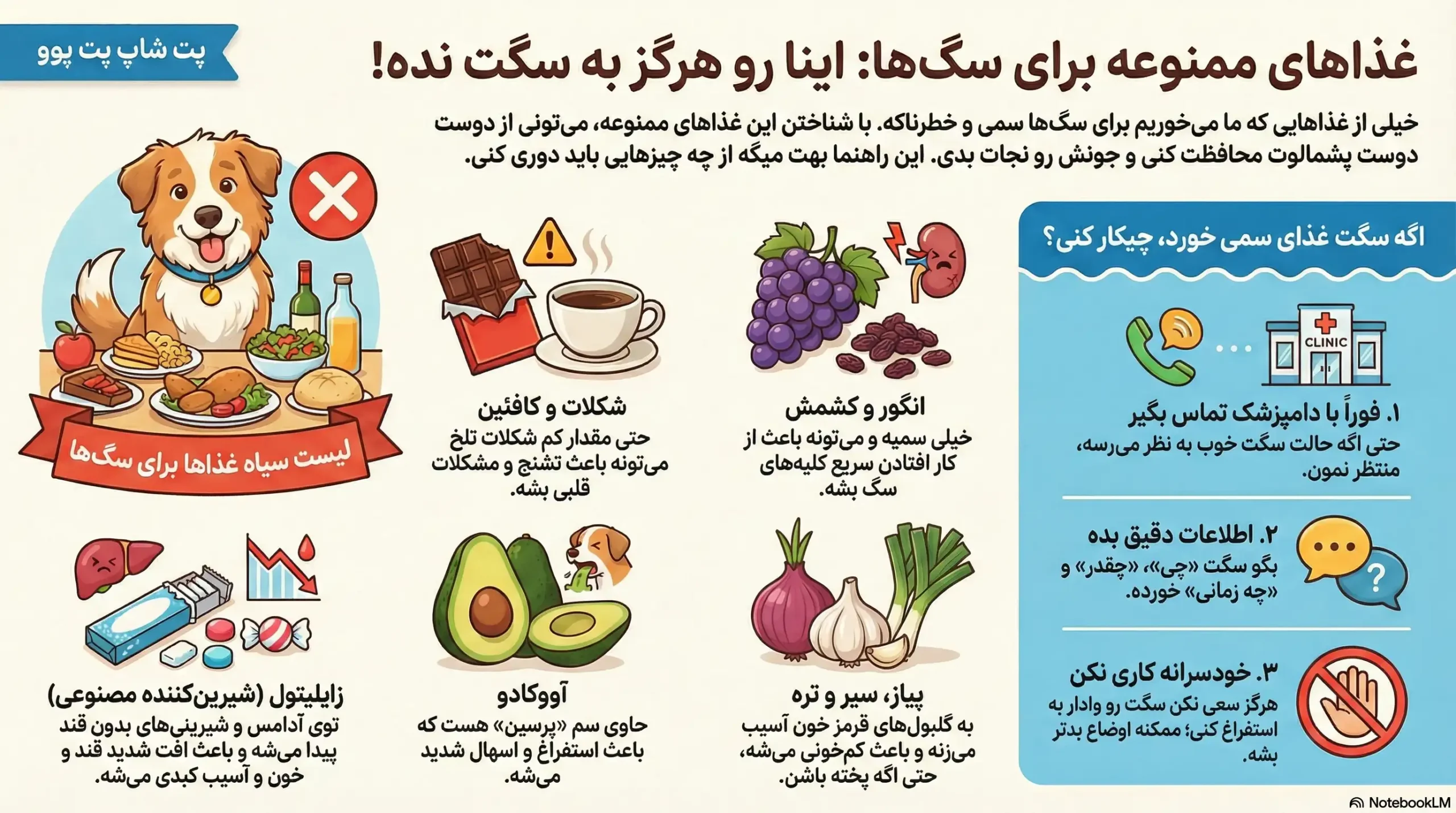 10 غذای ممنوعه برای سگ های خانگی که هرگز نباید بخورند! 5 petpoo infographic forbidden dog foods scaled