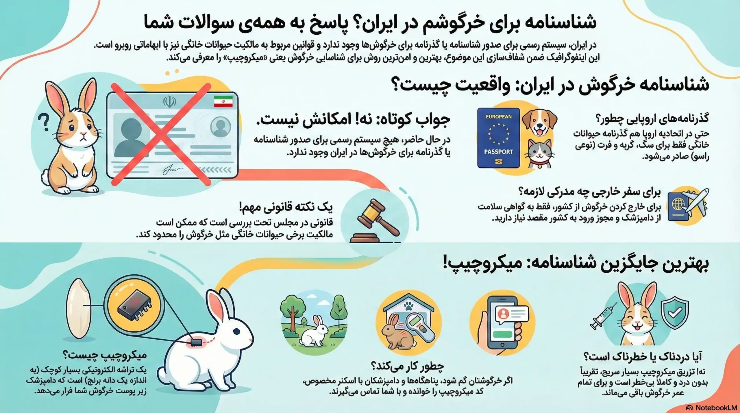 petpoo infographic get rabbit id card scaled