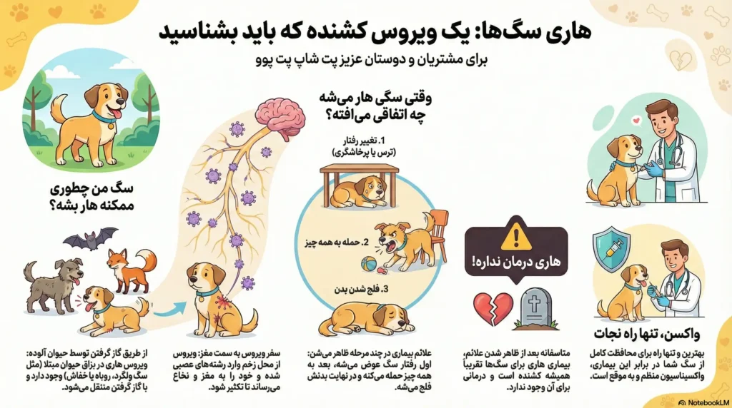 petpoo infographic how dogs get rabies