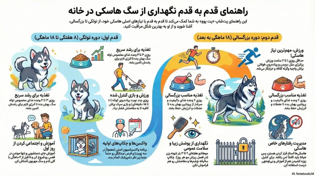 راهنمای نگهداری از سگ هاسکی: آموزش قدم به قدم 1 petpoo infographic husky care guide
