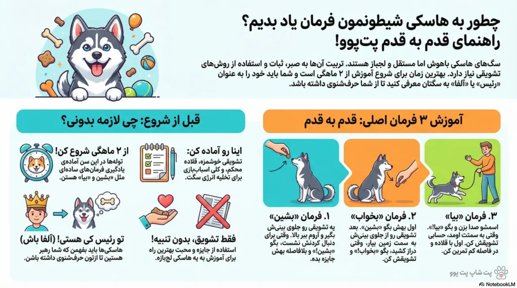 petpoo infographic husky training guide