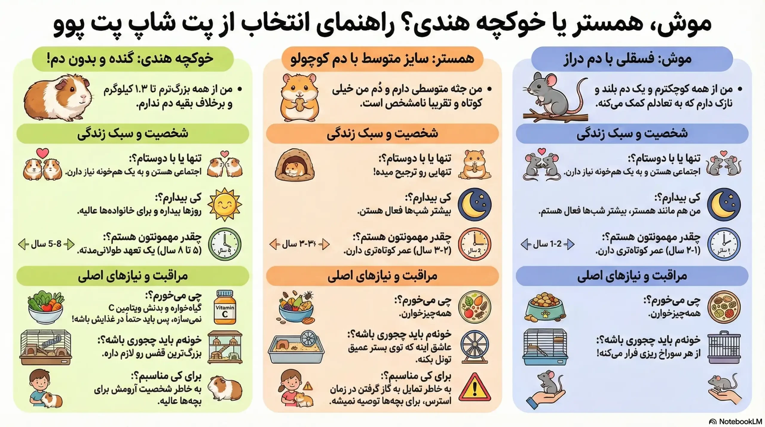 تفاوت موش، همستر و خوکچه هندی چیست؟ 2 petpoo infographic mouse hamster guinea pig differences scaled