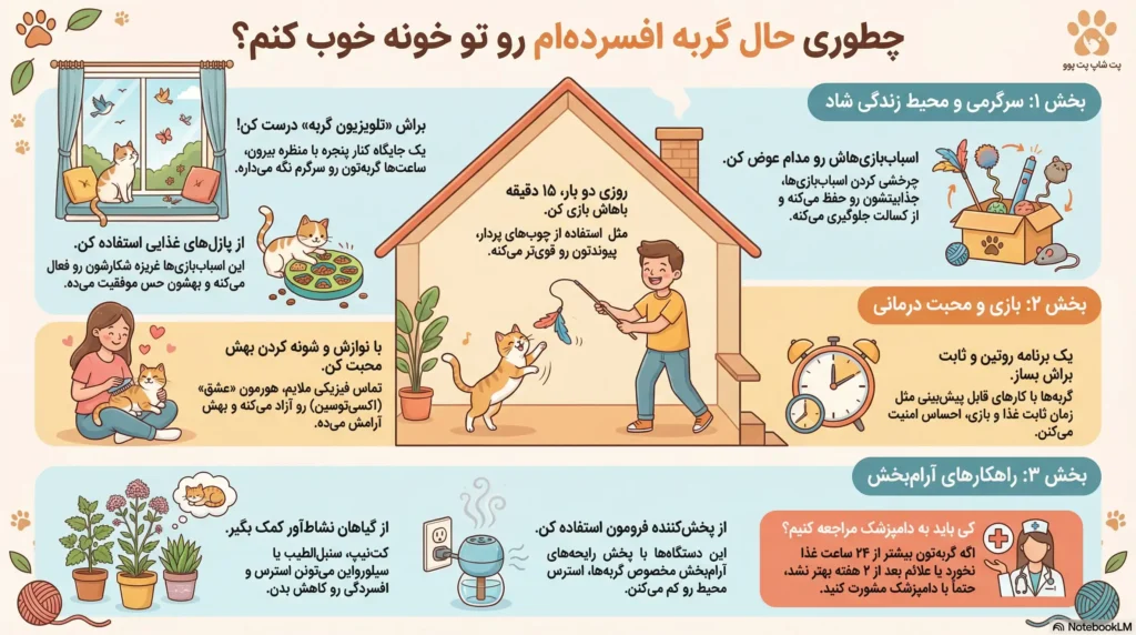 راهنمای درمان افسردگی گربه ها در 8 قدم ساده 2 petpoo infographic cat depression treat