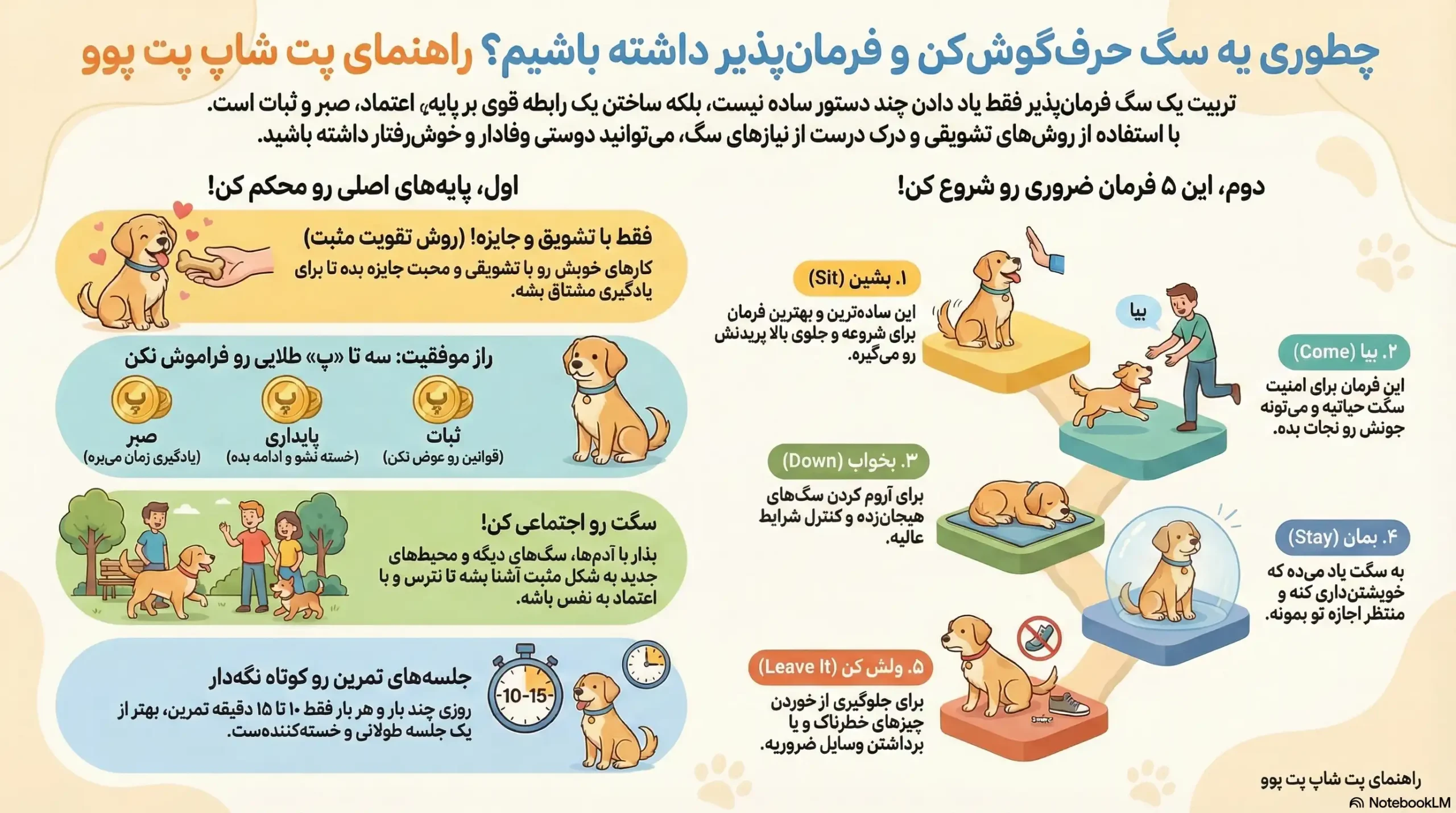 petpoo infographic docile dog scaled