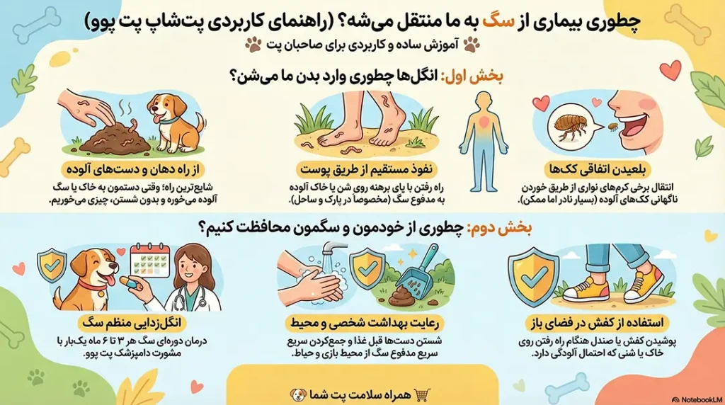 راههای انتقال بیماری از سگ به انسان چیست؟ 2 petpoo infographic dog infections to humans