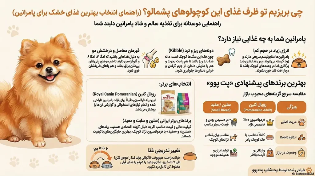 بهترین غذای خشک برای سگ پامرانین 2 petpoo infographic best dry food for pomeranian dog