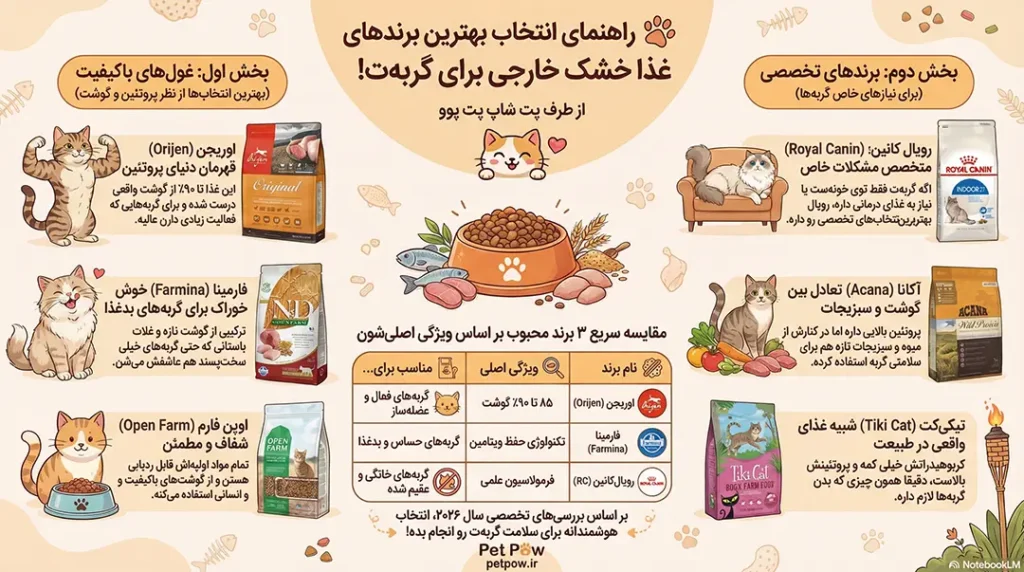 معرفی بهترین برندهای غذای خشک گربه خارجی 4 petpoo infographic best foreign dry cat food brands