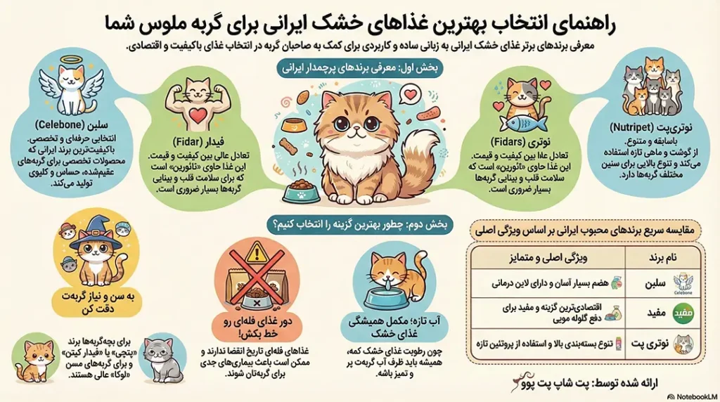 معرفی بهترین برندهای غذای خشک گربه ایرانی 6 petpoo infographic best iranian dry cat food brands