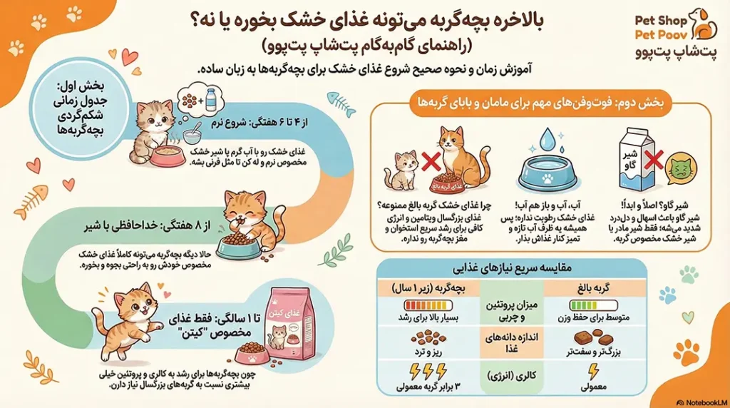 petpoo infographic does the kitten eat dry food