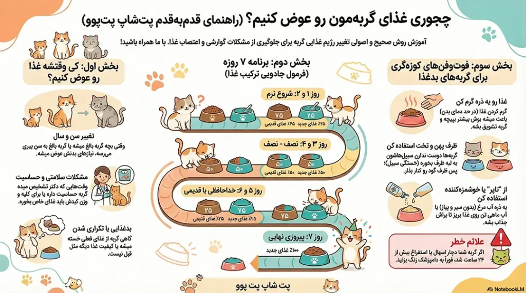 petpoo infographic how to change cat diet