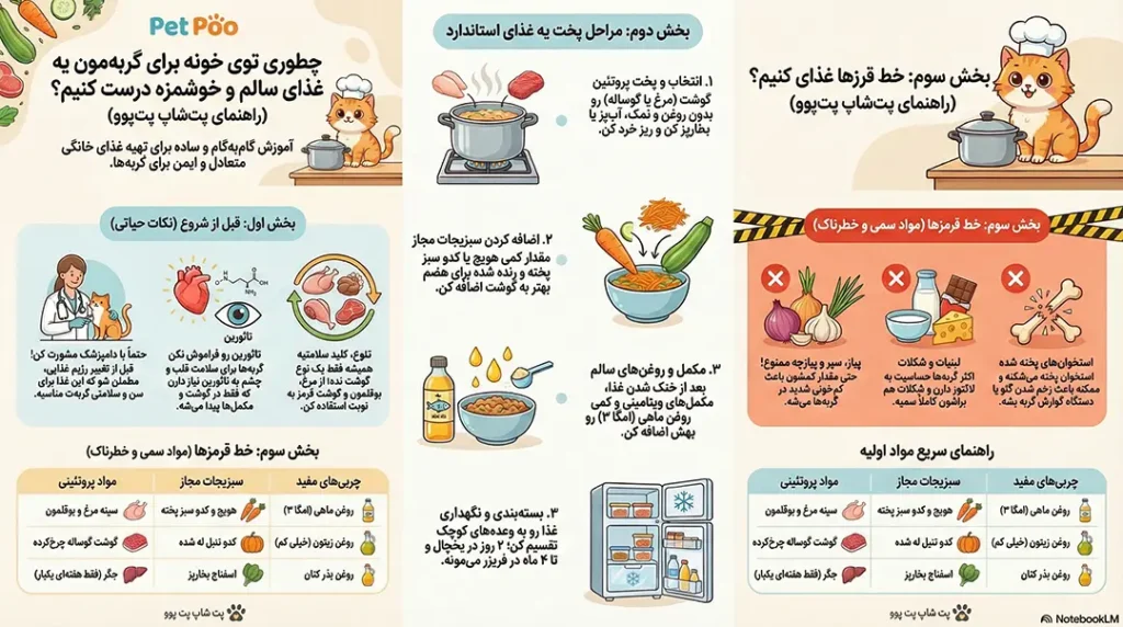 petpoo infographic how to make homemade cat food