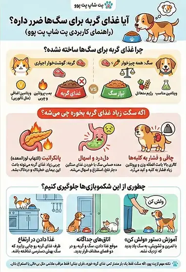 آیا غذای گربه برای سگ ضرر دارد؟ 2 petpoo infographic is cat food harmful to dog