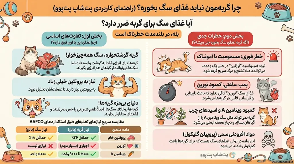 آیا غذای سگ برای گربه ضرر دارد؟ 2 petpoo infographic is dog food harmful to cat